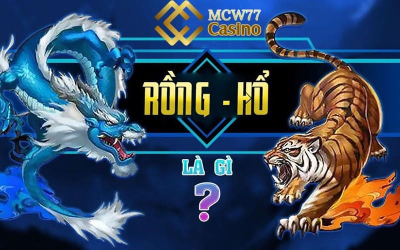 Rồng hổ là gì?